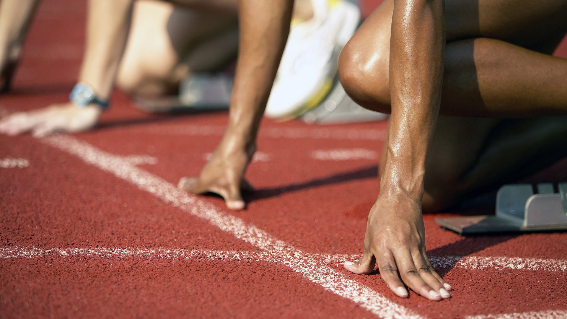 体育新闻中心官方消息播报,体育新闻最新一期